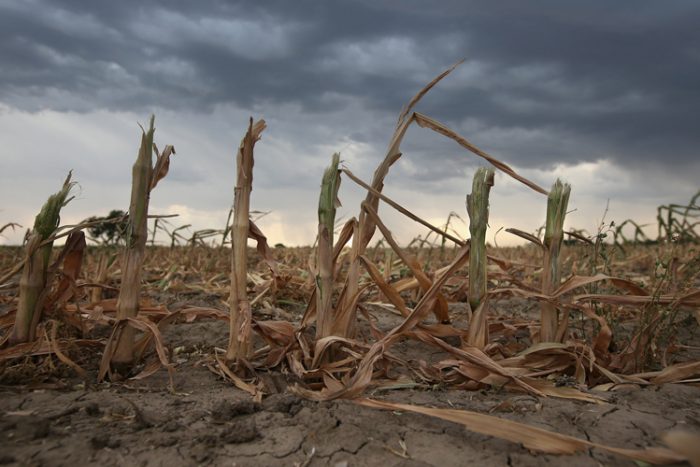 Rain clouds move over the remnants of parched cornstalks on Aug. 22 near Wiley, Colo. A summer storm came too late to help farmers whose crops were decimated in the wide zone of exceptional drought in Colorado's eastern plains.